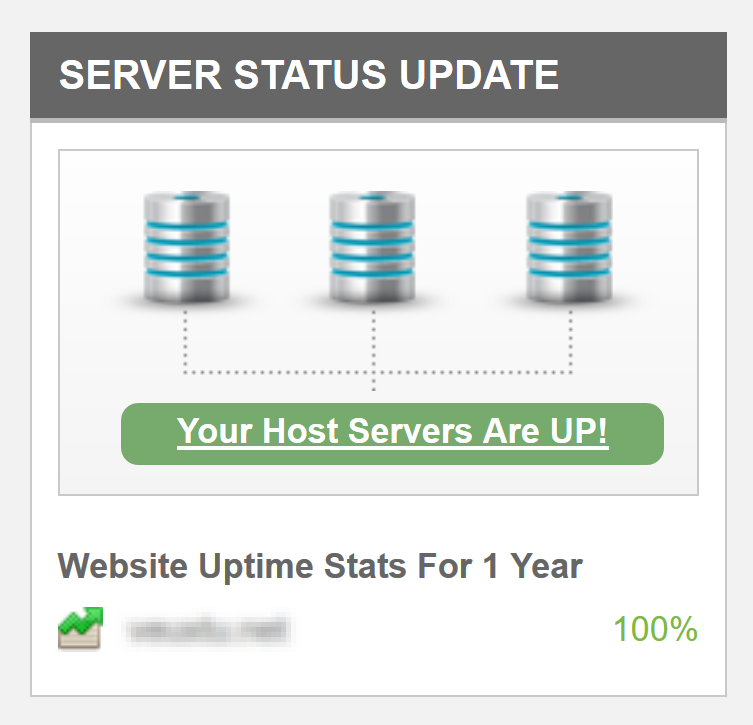 Server Uptime