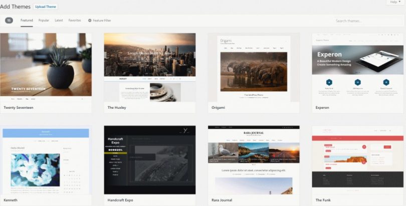 Choose a WordPress Theme